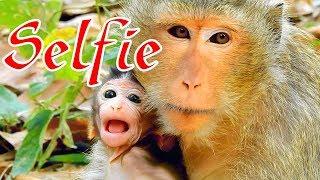 Ah! Female Monkey Gladdis Wants To Take Julina From Jade, Funny Baby Monkey George