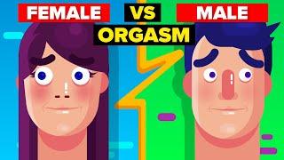 Female Orgasm vs Male Orgasm - How Do They Compare?
