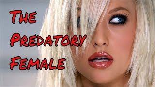 Female Pedophiles | Are They Only 1% Of the Paraphilia Population?