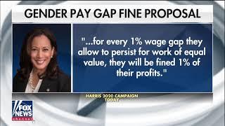 Kamala Harris Gender Pay Gap Totally ignores the Gender Work Place Hours Gap
