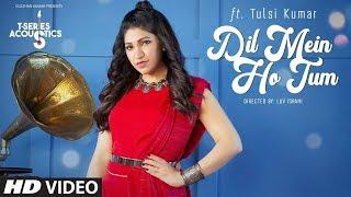 Dil Me Ho Tum - Tulsi Kumar | Official Video | Why Cheat India | Female Version | Latest Songs 2019
