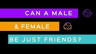 CAN A MALE & FEMALE BE JUST FRIENDS? Friendship Series 04