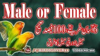 How To Identify Male and Female in Lovebirds, Video No 261