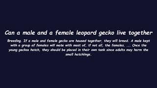 Can a male and a female leopard gecko live together