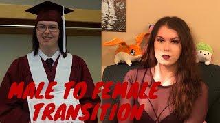 5 Year Male to Female Transition Timeline | Transgender Series