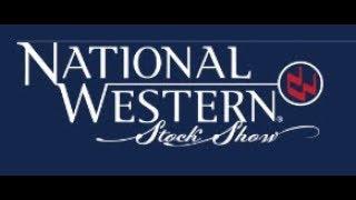 2019 NWSS : National American Aberdeen Female Show