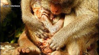 Mom Jane breakheart when check&clean big wound of Janet,Poor baby Janet is very strong girl