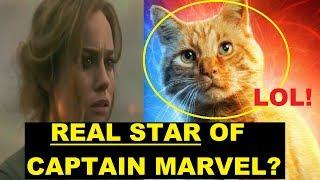 A CAT Is Captain Marvel's STAR, According To Reviewers? Marvel's First-Of "Female" Movie? LOL
