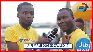 A FEMALE DOG IS CALLED...? | Street Quiz | Funny Videos | Funny African Videos | African Comedy