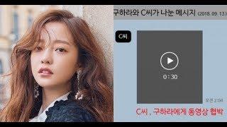 Knetzs are debating about whether only female inspectors can watch Goo Hara's leaked private video