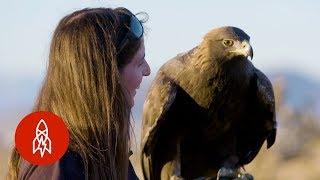 The Female Falconers Rewriting Tradition